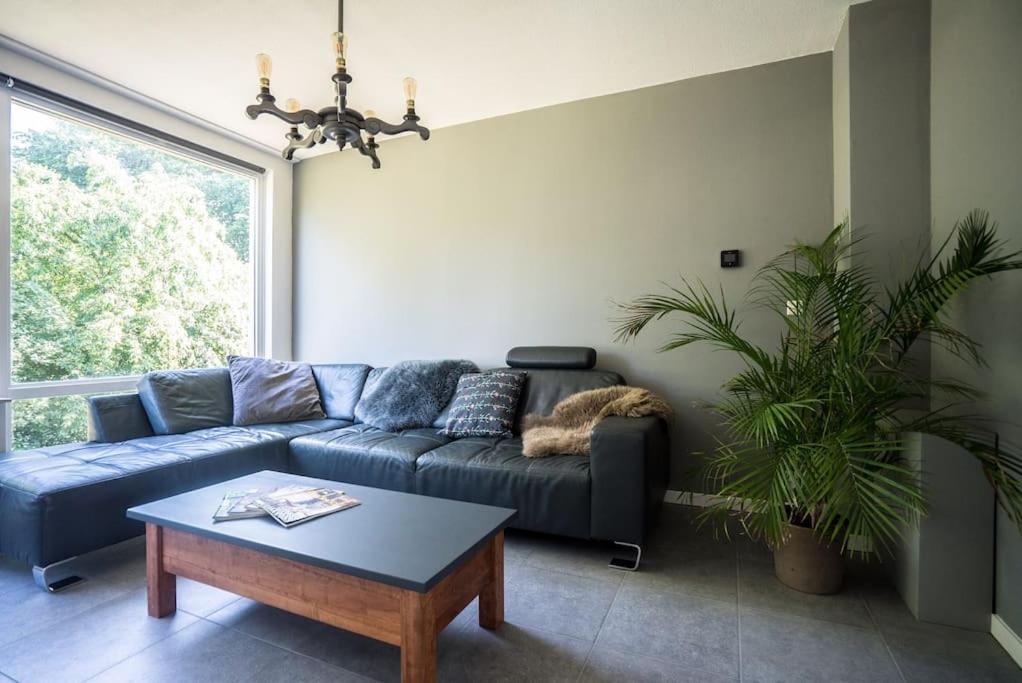 Cityhouse ألكمار المظهر الخارجي الصورة